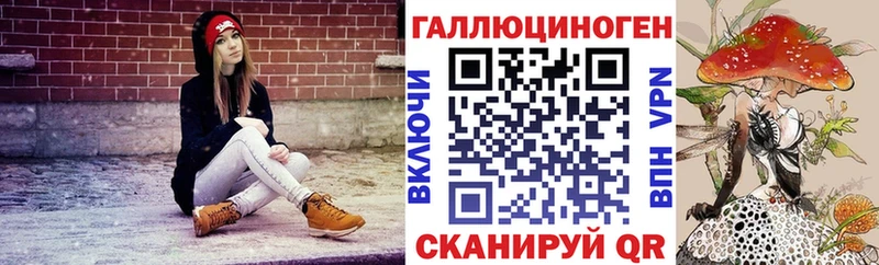 Галлюциногенные грибы мухоморы  даркнет официальный сайт  Карачаевск 