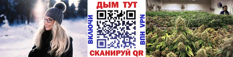 Шишки марихуана гибрид  Карачаевск 